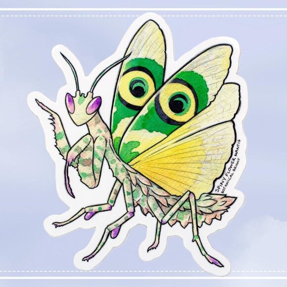 3 for $15 - Spiny Flower Praying Mantis Sticker -‎ Waterproof Vinyl Nature Decal - Picture 1 of 5